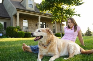 Edmonton Homes - Spring Cleaning