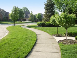 Summer Lawn Care 